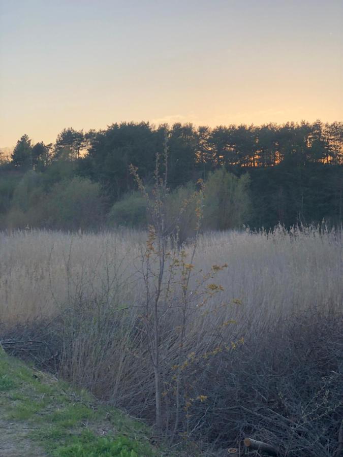 Country-Living With A Lovely View And Own Terrace, Entrance And Parking Roskilde Eksteriør billede